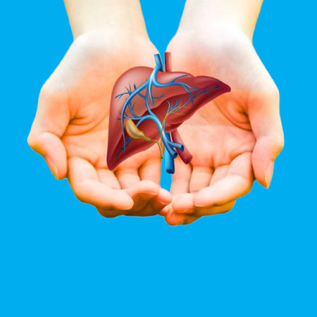 Protect your liver health now with our comprehensive medical illustration resourcesの写真素材