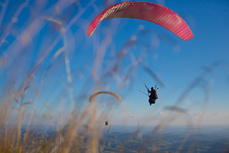 Paragliding into the sunset in Brazilの写真素材
