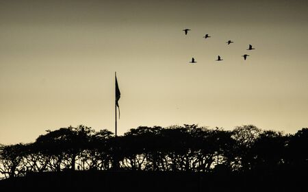 The flag