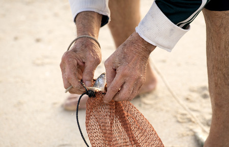 The fisherman caught selling fish country located on the beach for sale, thailandの写真素材