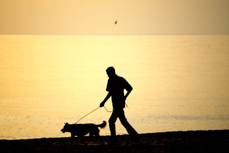 The dog and man  walked happily on the beach in morning at the seasideの写真素材