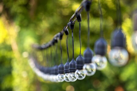 The bulbs are hung in long rows background nature of green tree look beautiful in the morningの写真素材