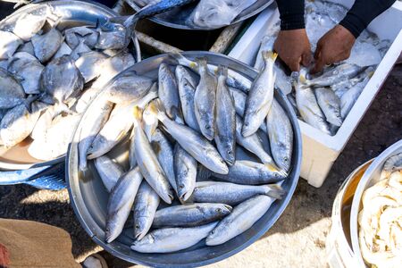 Fish fresh seafood sold in the morning market, popular bought to cook kinds  is good for health, Songkhla province country Thailandの写真素材