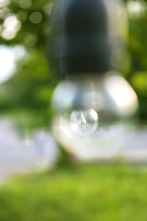The bulbs blur concept, hung in long rows background nature Idea of green tree look beautiful in the...