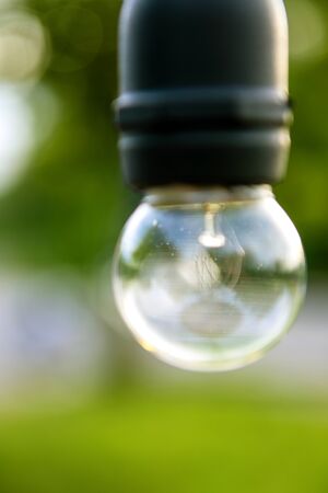 The bulbs blur concept, hung in long rows background nature Idea of green tree look beautiful in the morningの写真素材