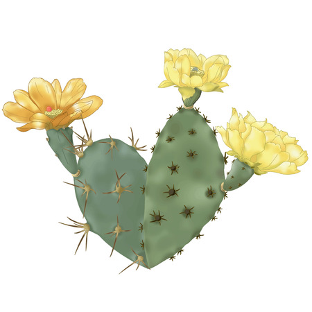 Heart-Cactusのイラスト素材