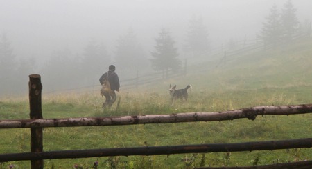 boy playing with the dog on a farm near the forestの写真素材