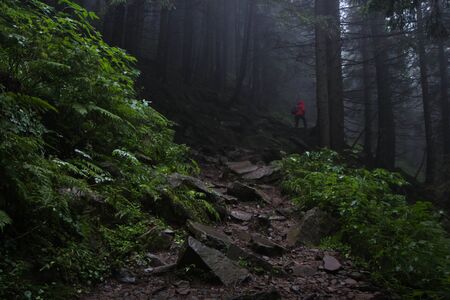 man walking on the stone path through the dark forestの写真素材