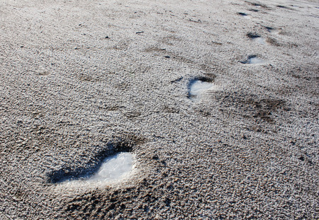 traces of solidified salt on the sand dead lakeの写真素材