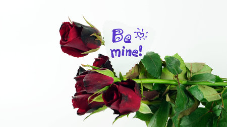 Red roses on white background, isolated.の写真素材