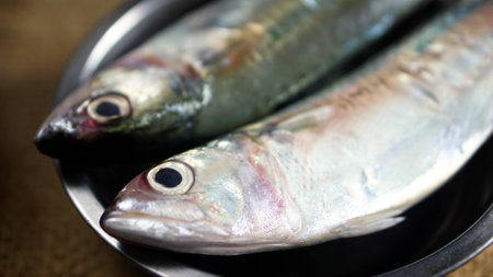 Indian mackerel fish. Species of mackerel family, commonly found in the Indian and West Pacific oceans, and their surrounding seas. They are important food fish and used in Asian cuisine.の写真素材
