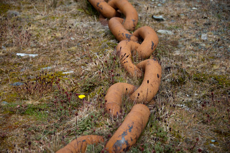 rusty iron chains by seawater Grytviken Bay, British island of South Georgia, Antarctica