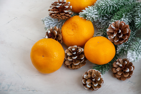 Fresh tangerines with branches of spruce tree and conesの写真素材
