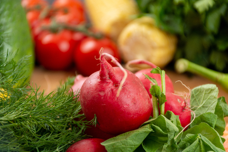 Bunch of different kinds fresh and raw vegetablesの写真素材