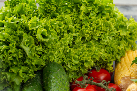 Bunch of different kinds fresh and raw vegetablesの写真素材