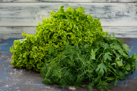 Fresh herbs and green vegetable, healthy and full of vitaminsの写真素材