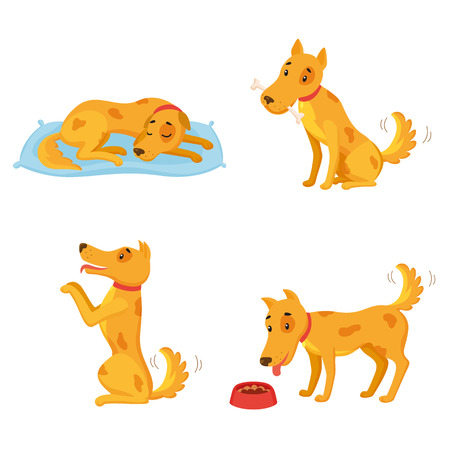 Dog in different states. Cartoon character set. Sleeping, gnawing bone, performing, eating. Vector illustration can be used for kindergarten, elementary school educationのイラスト素材