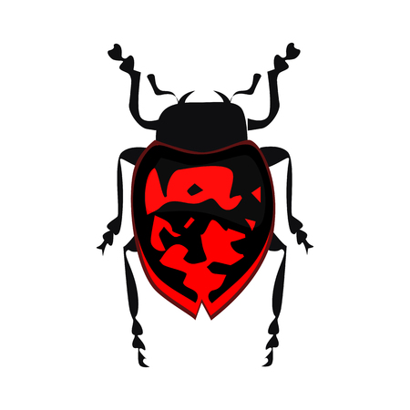 Firebug isolated vector. Entomology, bedbug, beetle. Insects concept. Vector can be used for topics like nature, biology, faunaのイラスト素材