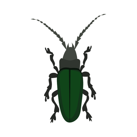 Green longhorn beetle vector. Entomology, wildlife, bug. Insects concept. Vector can be used for topics like nature, biology, faunaのイラスト素材