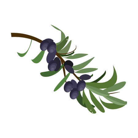 Olive branch illustration. Green leaf, harvest, product. Food concept. Vector illustration can be used for topics like agriculture, natural food, eco productionのイラスト素材