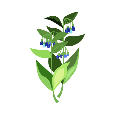 Small blue bells illustration. Flower, plant, nature. Spring concept. Vector illustration can be used for topics like garden, field flowers, natureのイラスト素材