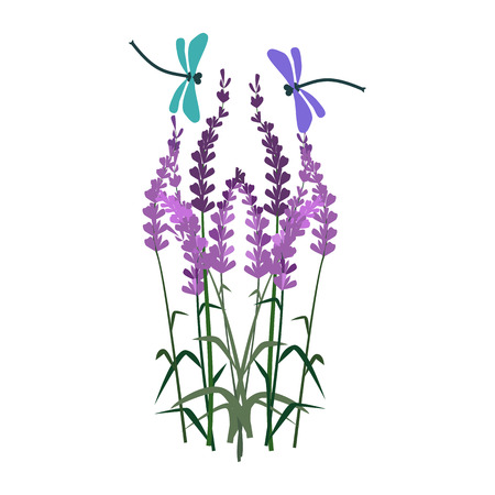 Violet delphinium illustration. Flower, plant, nature. Spring concept. Vector illustration can be used for topics like garden, field flowers, natureのイラスト素材