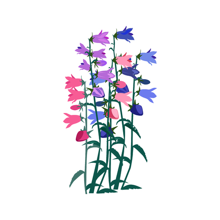 Colorful bluebells illustration. Flower, plant, nature. Spring concept. Vector illustration can be used for topics like garden, field flowers, natureのイラスト素材
