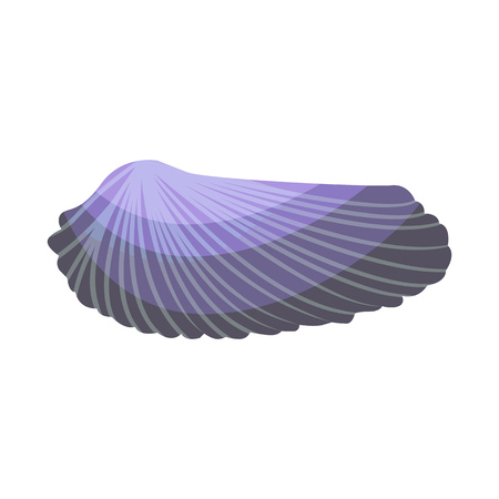 Big purple seashell. Empty cockle shell of sea mollusk. Can be used for topics like summer vacation, sea life, seafoodのイラスト素材