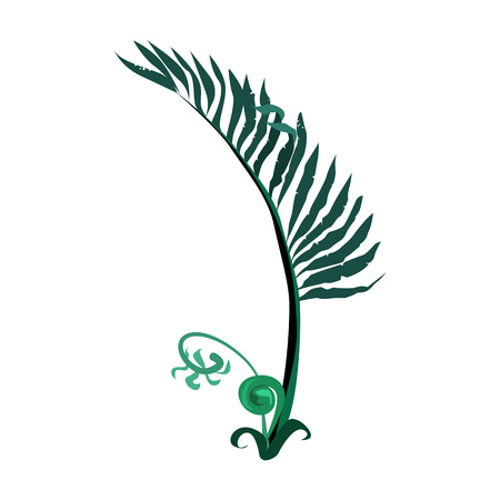 Exotic fern illustration.Nature, flora, summer. Nature plants concept. Vector illustration can be used for topics like jungle, nature, botanyのイラスト素材