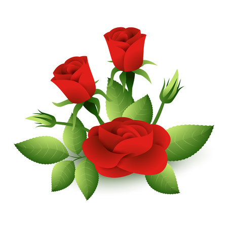 Red roses illustration. Flora, bush, plants. Flowers concept. Can be used for topics like nature, garden, women dayのイラスト素材