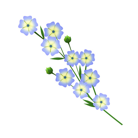 Twig of blue flowers illustration. Plant, flora, botany. Spring concept. Can be used for topics like nature, summer, gardenのイラスト素材