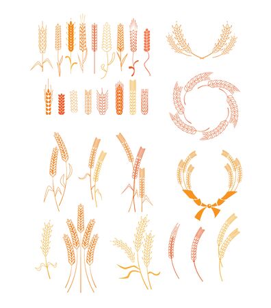 Grain ears set. Wheat, rice, barley, rye, circle, frame. Harvest concept. Isolated vector illustrations for topics like farming, agriculture, beer, organic food labelのイラスト素材