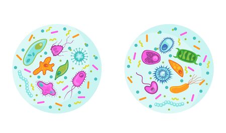 Bacteria and virus set. Pathogens, germs, cancer cells, microorganisms, microscope view. Can be used for danger, health hazard, epidemic, illness, microbiology conceptの写真素材