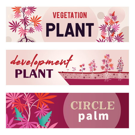 Pink promotional banner designs with marihuana. Bright growing bushes with roots on colorful background. Hemp plantation and legal drug concept. Template for poster, promotion or web designのイラスト素材