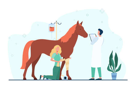 Veterinarian giving treatment to horse. Pet doctor, foal, trauma. Flat vector illustration. Veterinary clinic, animal care, stabling concept for banner, website design or landing web pageのイラスト素材