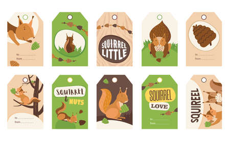 Stylish special tag designs with cute cartoon squirrel character. Orange or brown little mammal holding nut, smiling, sitting. Wildlife, nature concept. Template for greeting labels or invitation cardのイラスト素材
