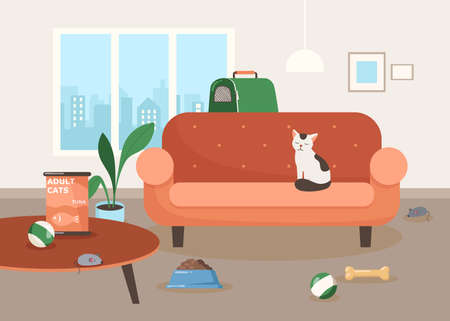 Cute cat character sitting on sofa in living room illustration. Calm cartoon domestic animal, toys on floor, bowl with cat food, pet carrier. Domestic animals, pets, pet food conceptのイラスト素材