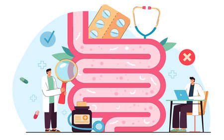 Tiny doctors examining gut flora. Cartoon persons studying gastrointestinal bacteria, microorganisms in digestive system flat vector illustration. Nutrition, health concept for banner, website designのイラスト素材
