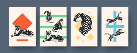 Set of contemporary art posters with active tiger. Vector illustration. Collection of running,...