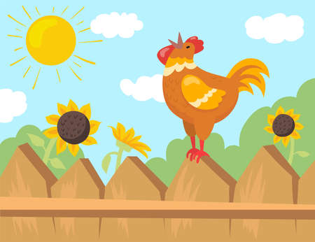 Rooster welcoming sun cartoon illustration. Cock sitting on fence singing at sunrise, looking at sun happily. Bright yellow sunflowers on background. Farm animal concept for website or landing pageのイラスト素材