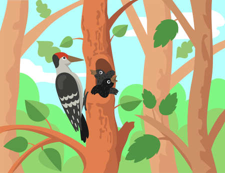 Woodpecker with chicks illustration in cartoon style. Cute forest birds on tree hollow, baby animals. Tree house in woods. Wildlife, nature concept for website or landing pageのイラスト素材