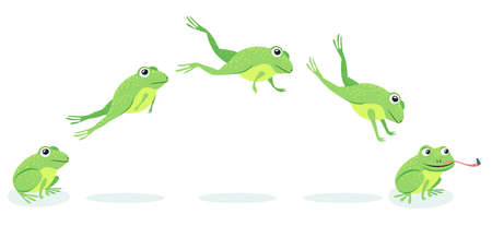 Animated process of frogs leaps sequence. Cartoon toad jumping for prey, catching insect vector illustration set. Animal, movement conceptのイラスト素材