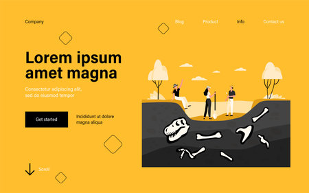 Group of archeologists discovering fossils, digging ground with dinosaur bones. Vector illustration for archeology, paleontology, science, expedition conceptのイラスト素材