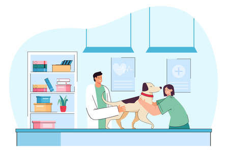 Smiling vet examining cute dog in veterinary clinic. Cartoon veterinarian surgeon treating pet in medical health center for domestic animals flat vector illustration. Pets healthcare service conceptのイラスト素材