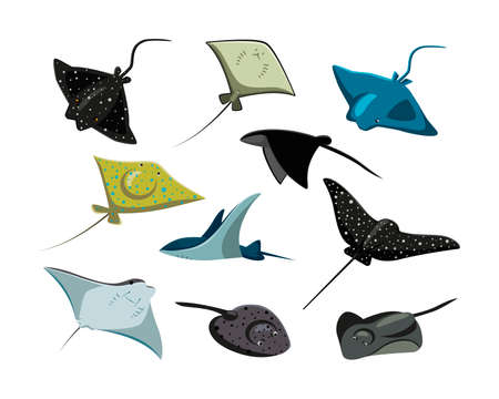 Comic stingrays flat vector illustrations set. Cute fish cartoon characters with eyes, manta ray,...