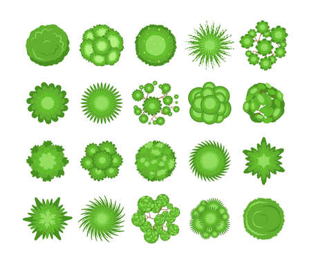 Top view of green trees and bushes vector illustrations set. Plant elements for garden, forest or park plan or map from birdseye view isolated on white background. Ecology, landscape design conceptのイラスト素材