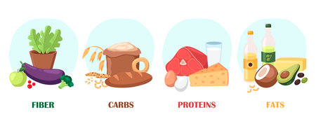 Sources of fiber, carbs, proteins, fats vector illustrations set. Different categories or groups of products or meals with vitamins or micronutrients on white background. Food, nutrition, diet conceptのイラスト素材