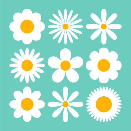Various white daises on blue background cartoon illustration set. Camomiles or chamomiles with different petals. Seamless floral pattern. Blossom, spring flowers, summer conceptのイラスト素材
