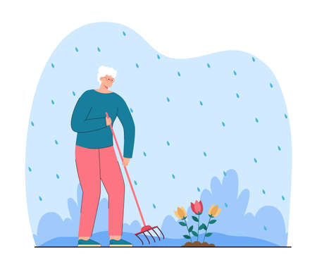 Senior woman gardening. Female character raking flowers. Raining. Leisure, gardening concept for website or landing pageのイラスト素材