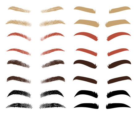 Different shapes and colors of eyebrows vector illustrations set. Thin and thick eyebrows of men or women, male or female brow types isolated on white background. Beauty, makeup, cosmetics conceptのイラスト素材